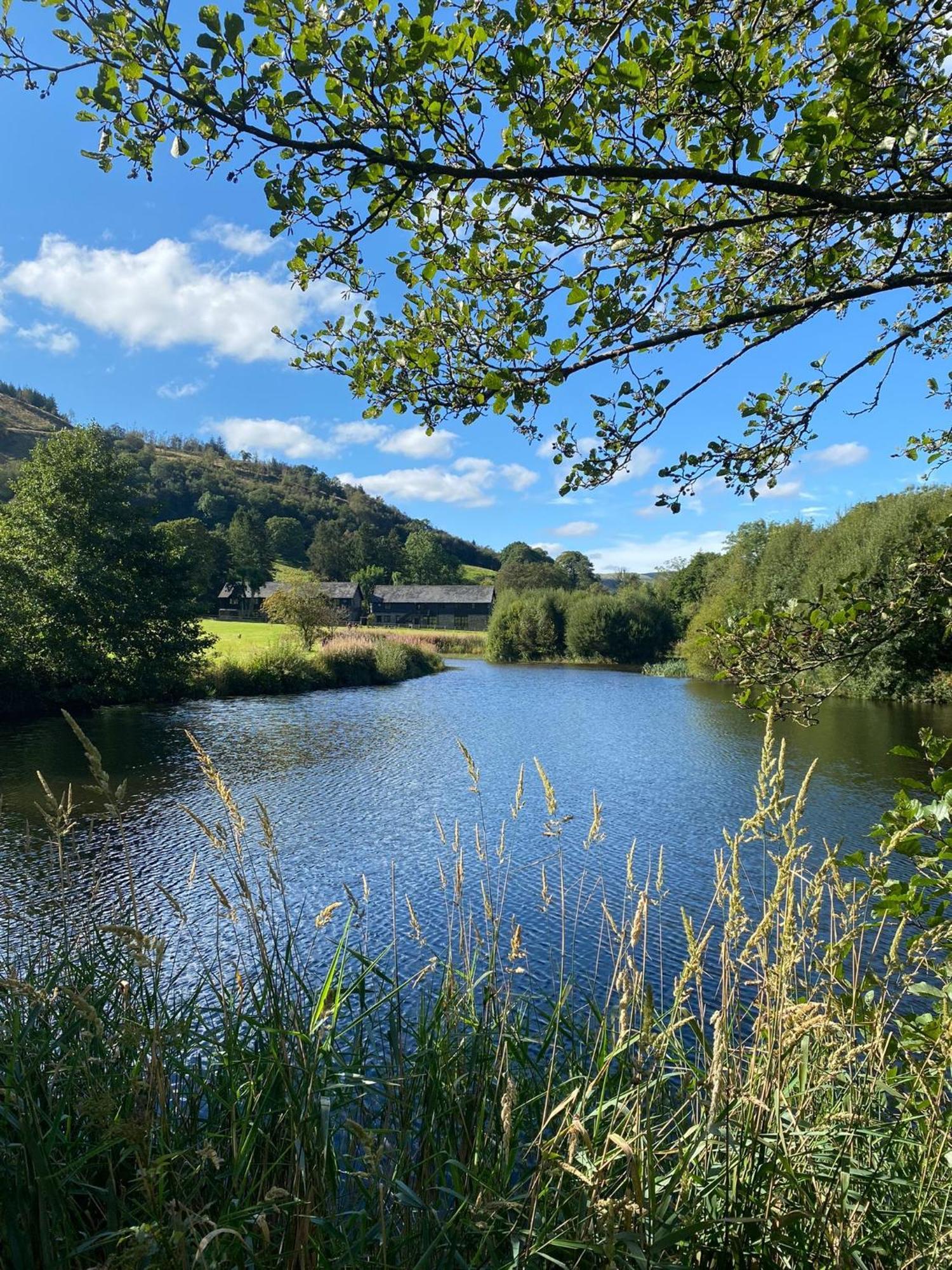 Lake Cottages At Cwm Chwefru Llanafan-fawr Zewnętrze zdjęcie